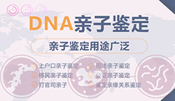沈阳司法亲子鉴定需要怎么办理[在线咨询]，沈阳司法DNA亲子鉴定收费标准是多少