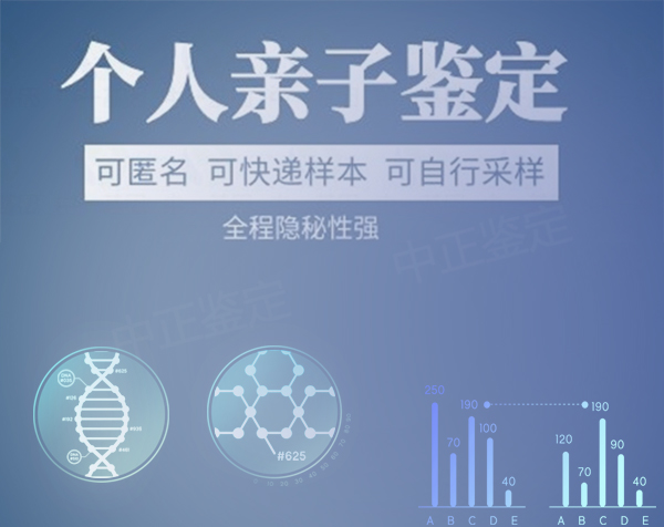 沈阳个人亲子鉴定准确吗,