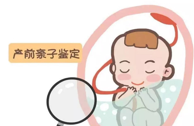 沈阳怀孕亲子鉴定如何做,沈阳孕期亲子鉴定机构咨询预约 沈阳怀孕亲子鉴定如何做,沈阳孕期亲子鉴定机构咨询预约