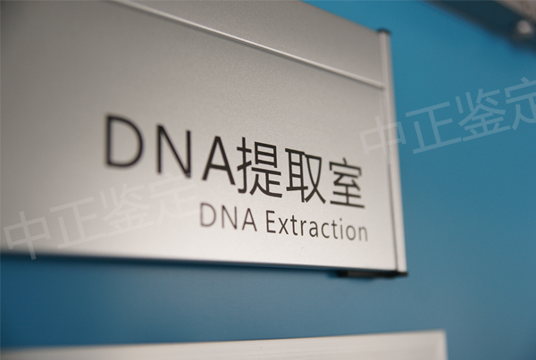 沈阳司法DNA亲子鉴定的流程,沈阳司法DNA亲子鉴定机构电话地址查询 沈阳司法DNA亲子鉴定的流程,沈阳司法DNA亲子鉴定机构电话地址查询